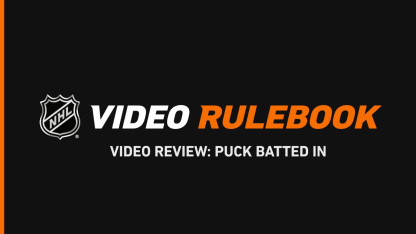 Video Review - Puck Batted In