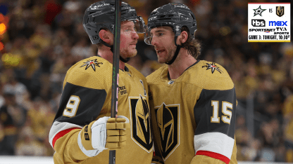 VGK EDGE game 3 TONIGHT bug