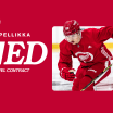 Red Wings sign Axel Sandin-Pellikka to three-year, entry-level contract